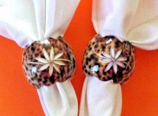 Set Of 6 Vtg Tiger Cowrie Sea Shell Napkin Ring,  Carved Flower Spotted Leopard