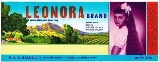 Grape Crate Label Vintage Oversized Scarce Leonora Sonoma Pacifica