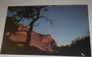 West Texas Big Bend National Park Pulliam Peak Vintage Unposted Post Card