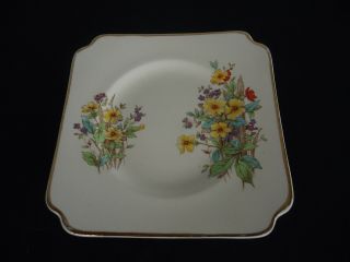 Vintage Royal Doulton Somerset Square Sandwich Bread And Butter Plate D6029
