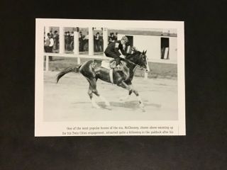 Mcchesney Photo 1903 Twin Cities Handicap Horse Racing