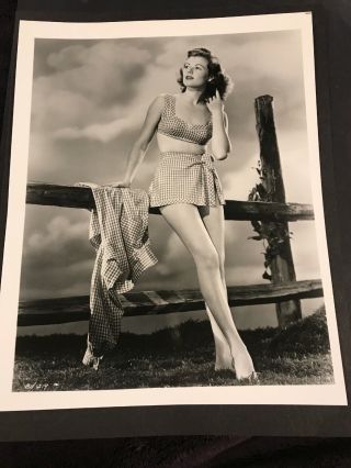 Barbara Hale Actress Vintage 8 X 10 Photograph From Irving Klaws Archives 4