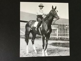 Mcchesney Photo 1903 Twin City Handicap Horse Racing