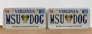2010 Virginia Vanity License Plate Msu Dog Virginia Commonwealth University