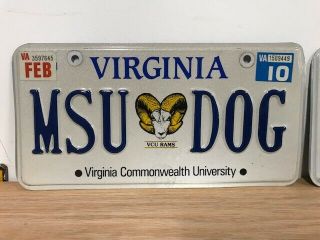 2010 VIRGINIA vanity license plate MSU DOG Virginia Commonwealth University 2
