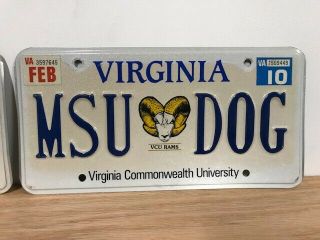 2010 VIRGINIA vanity license plate MSU DOG Virginia Commonwealth University 3
