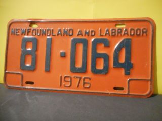 1976 Newfoundland And Labrador Vehicle License Plate,  81 - 064,  Tag,  Canada