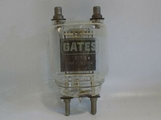 Appears To Be Gates Model 833a Hi - Power Rf Output Tube