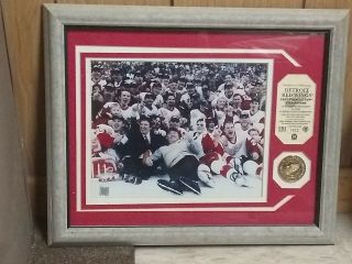 Detroit Red Wings 2002 Stanley Cup Champions Framed Photo & Medallion 1433