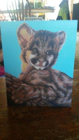 Vintage Paint By Number 8 " X10  Baby Tiger " Finished Look