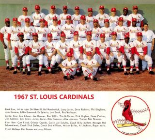 1967 St.  Louis Cardinals 8x10 Team Photo Baseball Picture Mlb