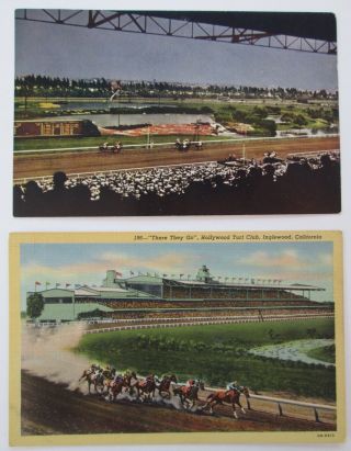 Hollywood Park Race Track/turf Club Inglewood Vintage Horse Racing Postcards (2)