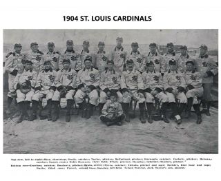 1904 St.  Louis Cardinals 8x10 Team Photo Baseball Picture Mlb