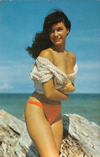 Beauty In The Breeze Pin - Up Girl Bettie Page Bunny Yeager 