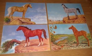 4 Vintage Horse Art Postcards Dorothy & Lewis H Larsen Wild Mustang Horses Poet
