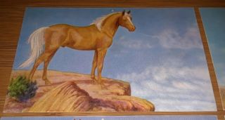 4 Vintage HORSE ART Postcards Dorothy & Lewis H Larsen Wild Mustang Horses Poet 2