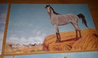 4 Vintage HORSE ART Postcards Dorothy & Lewis H Larsen Wild Mustang Horses Poet 3