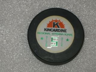 Kincardine Regional International Silver Stick Puck Lions International Decals