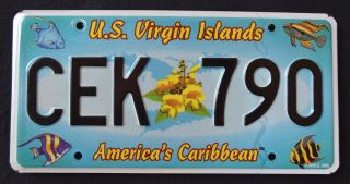 Us Virgin Islands " St.  Croix " Caribbean Wildlife Fish Specialty License Plate