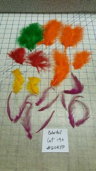 Multicolor Dyed Feather Lot19,  Goryp Millinery Plume Miniature Crafting Trim Vtg