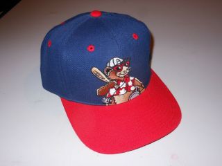 Vintage 1990’s Asheville Tourists Minor League Baseball Cap Hat Colorado Rockies