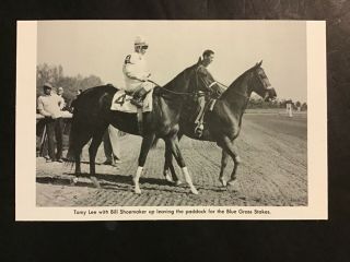 Tomy Lee Photo Horse Racing 1959 Kentucky Derby