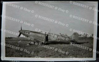 Ww2 Italy - An Raf Supermarine Spitfire On A Grass Airfield - Photo 10.  5 By 6.  5cm