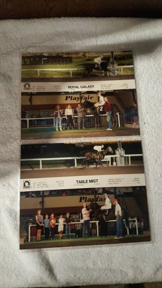 2 - Playfair Race Track Vintage Horse Racing Win Pictures From 1989 - 8 X 10