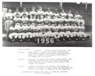 1956 Brooklyn Dodgers 8x10 Team Photo Baseball Mlb Picture