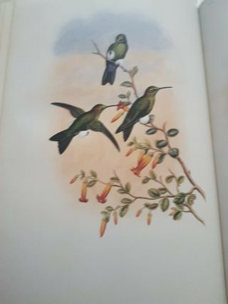 HUMMINGBIRDS JOHN GOULD Complete Work Huge Book 1990 Very Rare 360 Illustration 3