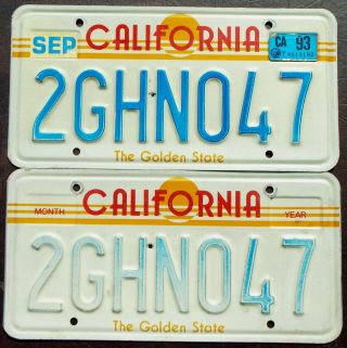 Too Much Sun For 1993 California Sun Plate Pair 2ghn047 - But Artsy Look
