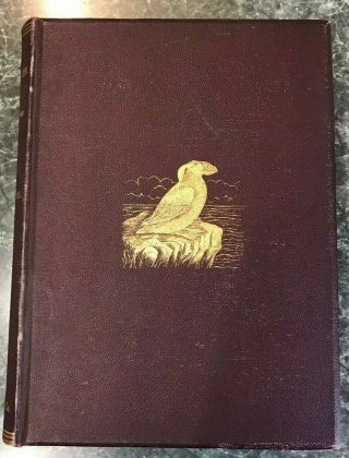 Water Birds Of North America Vols.  1 & 2 Color Plates Baird,  Brewer,  Ridgway1884