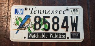 1999 Tennessee Watchable Wildlife License Plate 8584w Montgomery Co.  S/h