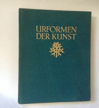 Urformen Der Kunst Karl Blossfeldt