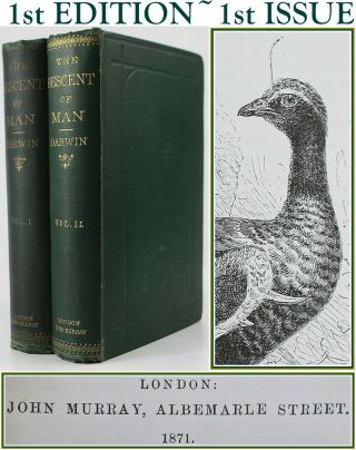 1871 Charles Darwin The Descent Of Man 1st Edition/first Issue Human Evolution