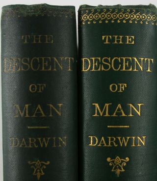 1871 CHARLES DARWIN THE DESCENT OF MAN 1st EDITION/FIRST ISSUE HUMAN EVOLUTION 2