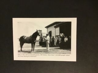 Man O’ War Photo Horse Racing