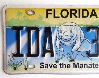 Save the Manatee Florida Tag Car Licence Plate Auto Marine Wildlife Tiki Bar 3