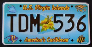 Us Virgin Islands " St Thomas " Caribbean Wildlife Fish Specialty License Plate