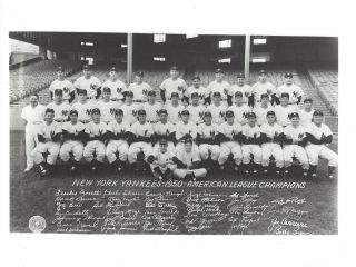 1950 York Yankees 8x10 Team Photo Baseball Picture Ny Mlb Al Champs