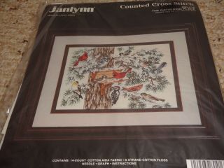 Vintage 1994 Janlynn The Gathering Place Birds Counted Cross Stitch Kit
