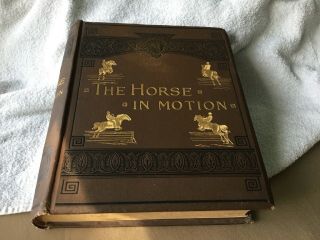 Muybridge’s The Horse In Motion Boston 1882 1st Edition Study Of Animal Mechanic