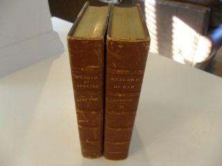 1888 Darwin Origin Of The Species & Descent Of Man 2 Vols Fine Binding