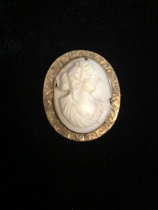 Vintage Cameo Brooch White With Gold Tone Trim
