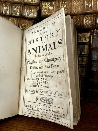 1659 Zoology Of The History Of Animals - Birds,  Insects,  Fish,  Terrestrial