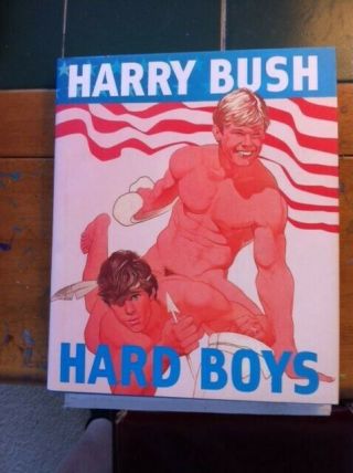 Hard Boys By Harry Bush Hardcover 2007,  W/ Dust Jacket