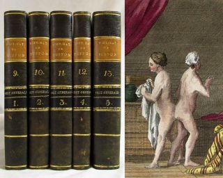 Antique 1792 Natural History Of Man Medical Oddities Science Hand Colored Plates