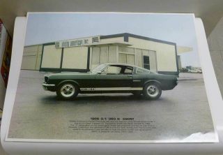 1966 Shelby Gt350s Vintage Poster