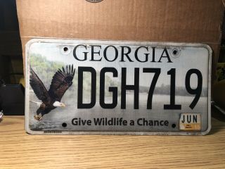 2015 Georgia Wildlife License Plate