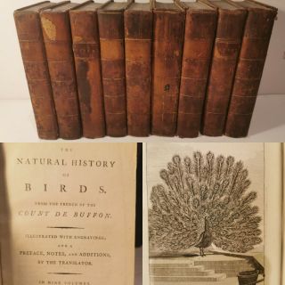 The Natural History Of Birds.  Buffon.  1793.  9 Vols.  English.  262 Plates.